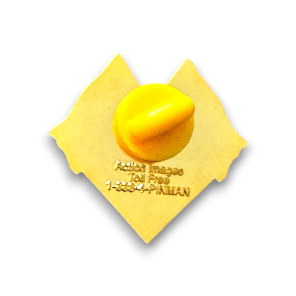 Bob Dutton California State Senate Enamel Lapel Pin US and California Flag - Picture 4 of 4